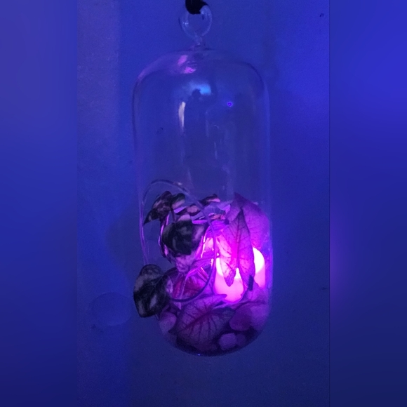 Light up hanging plant under glass - Picture 4 of 7